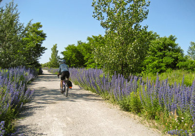 Cycling the Leslie Spit