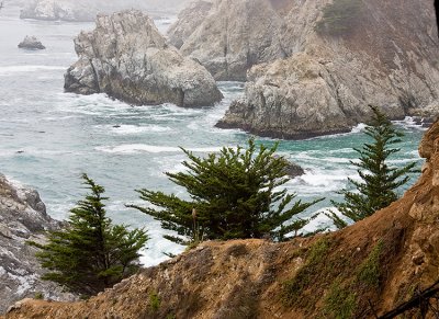 Julia Pfeiffer Burns State Park