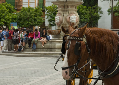 Plaza de la Virgen de los Reyes