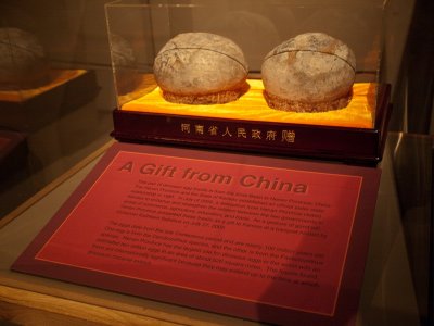 Dinosaur Eggs from China0599
