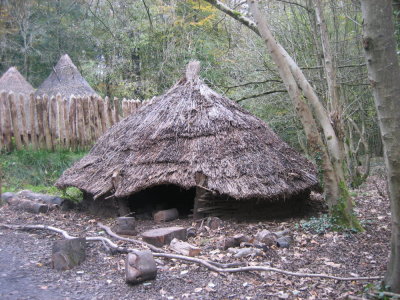 the celtic dwelling