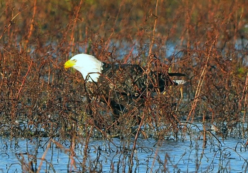 DSC_5751.JPG