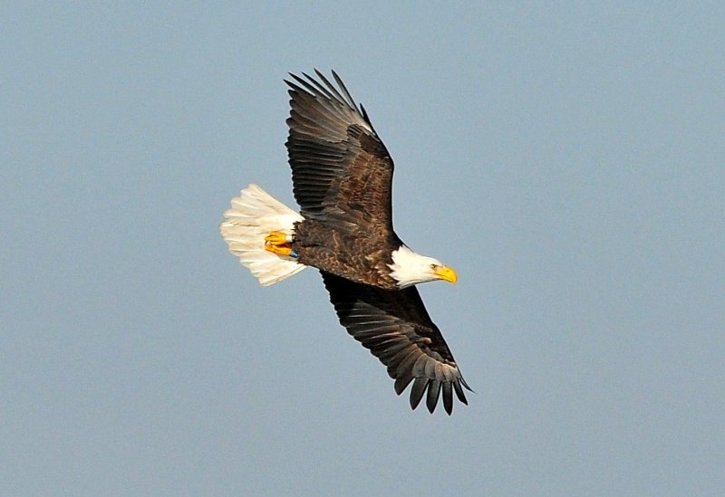 DSC_5787.JPG
