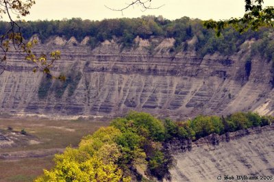 DSC_4016.JPG