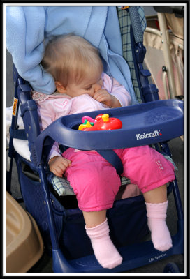 pbase_2679.jpg