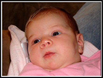 lilly_23.jpg