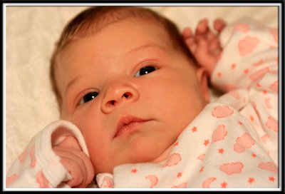 lilly_8855.jpg