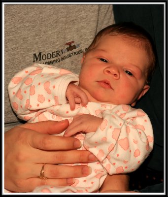 lilly_8862.jpg