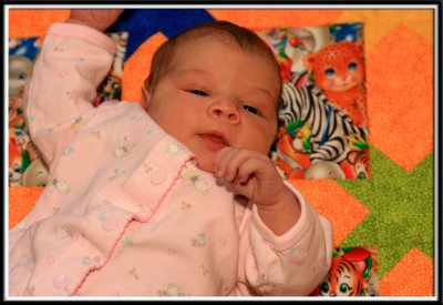 lilly_8870.jpg