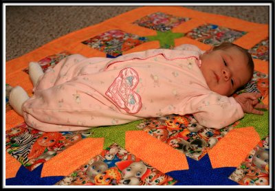 lilly_8872.jpg