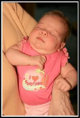 lilly_8955.jpg