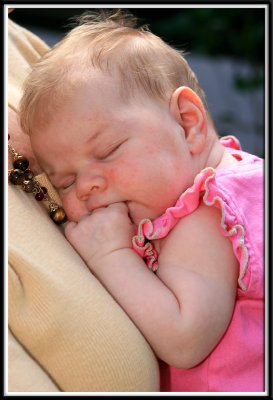lilly_8960.jpg