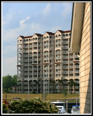 pbase_006.jpg
