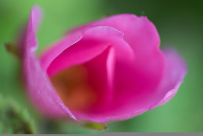 g1/57/275057/3/106653908.LGFOMDf7.jpg