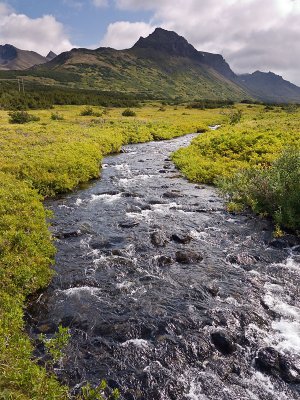 Campbell Creek