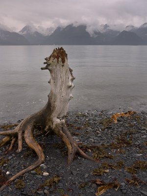 Resurrection Bay