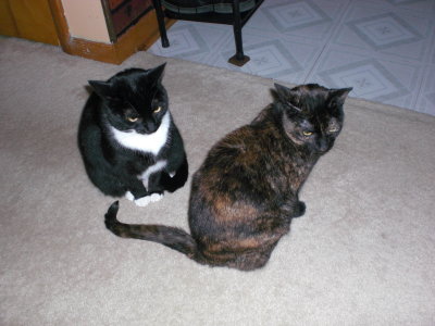 HWBBCM08 039.jpg