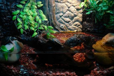 Shanghai Ocean Aquarium