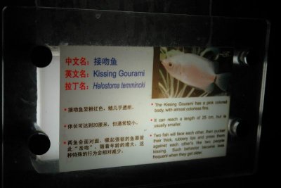 Shanghai Ocean Aquarium