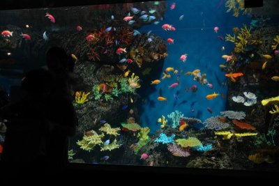 Shanghai Ocean Aquarium