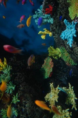 Shanghai Ocean Aquarium