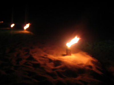 Special nightly entertainment