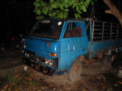 Truck to get to resort