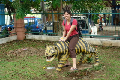 Wild Tiger ride