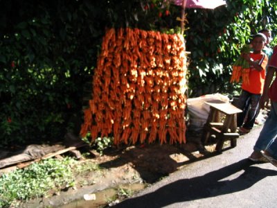 Cisarua - lots of carrots for sale along the road