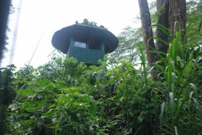 Taman Safari Indonesia - watch tower to make sure lions don't get out of the enclosure