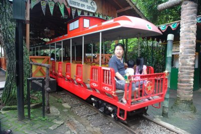 Taman Safari Indonesia - seems a bit big for the small train