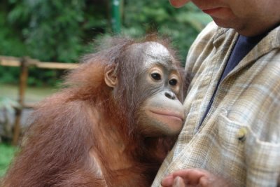 Taman Safari Indonesia - he was quite sweet and after a while was tough to let go of....