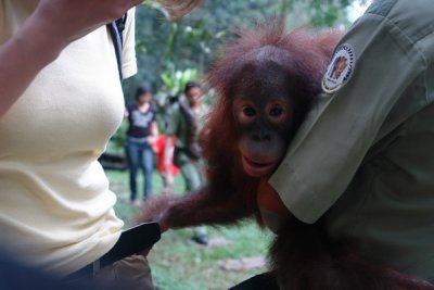 Taman Safari Indonesia - where's his hand going?
