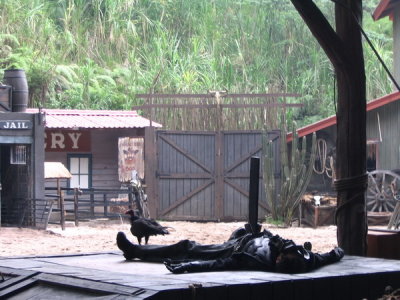 Taman Safari Indonesia - Wild West Show, trained vultures....