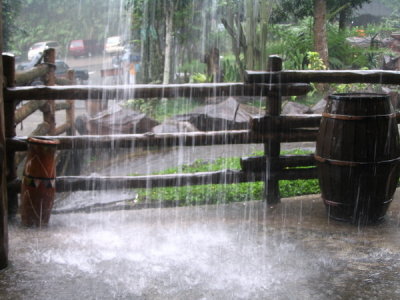 Taman Safari Indonesia - very heavy rain... had to wait for a bit...