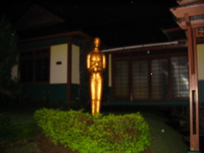 Cipanas housing estate - Oscar style