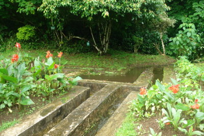 Cipanas botanical gardens