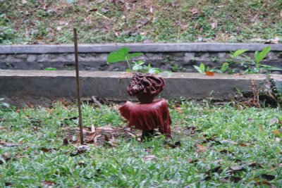 Bogor Botanical Gardens - smelly flower