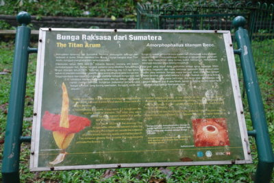 Bogor Botanical Gardens