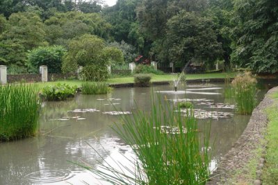 Bogor Botanical Gardens