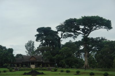 Bogor Botanical Gardens