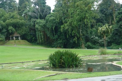 Bogor Botanical Gardens