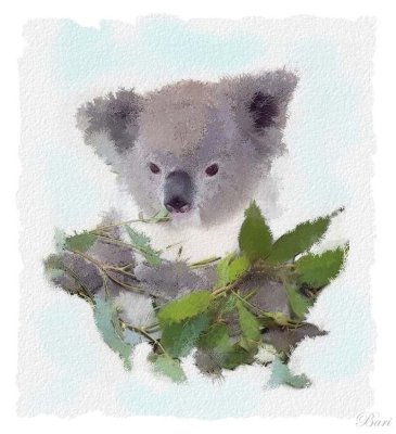 Koala Watercolor