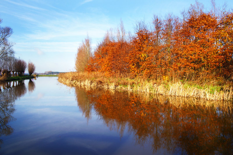 Autumn colors