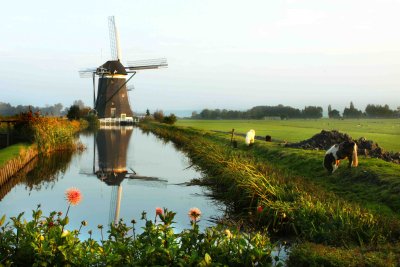 Mill with flower