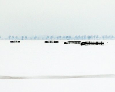Fences in the snow