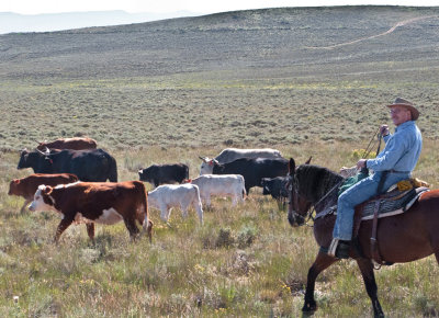 Cowboy Larry