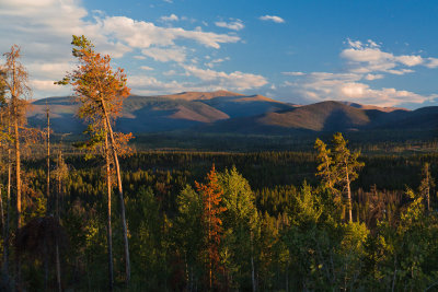 Late Afternoon, Tabernash, CO