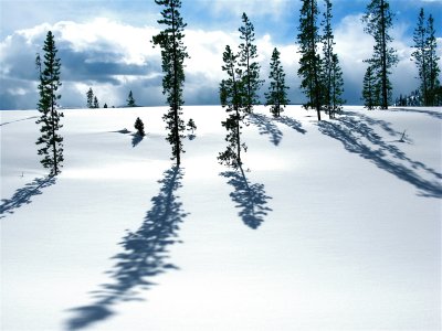 Shadows