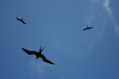 IMG_2263.JPG